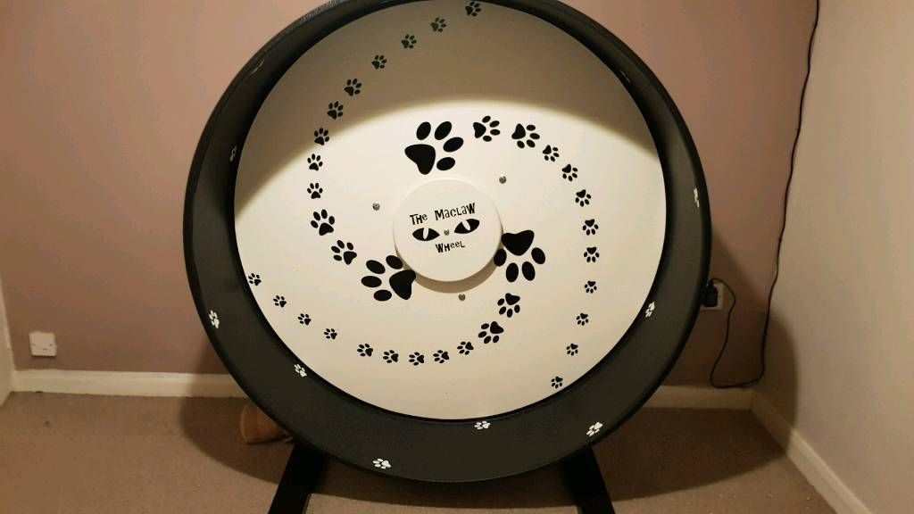maclaw cat wheel